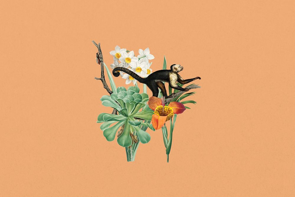 Vintage monkey, wildlife botanical remix collage element