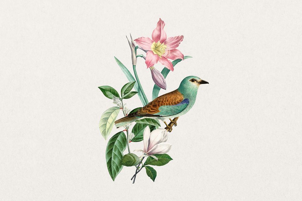 European roller bird, exotic botanical remix collage element