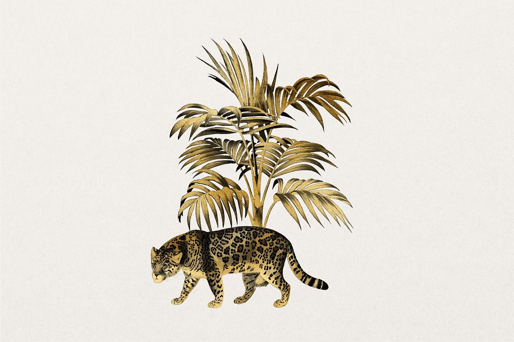 Golden jaguar tiger, wildlife collage element