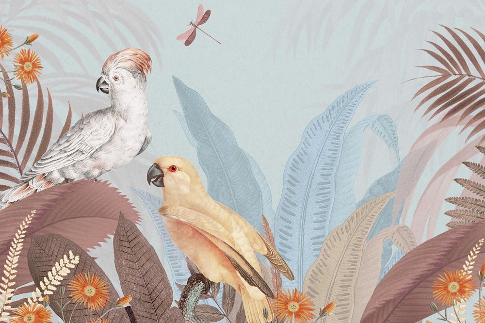 Exotic jungle bird background, aesthetic botanical illustration