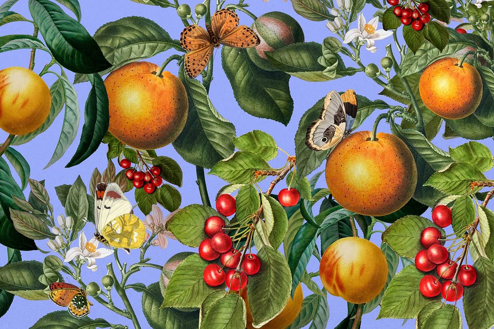 Tropical orange pattern background, vintage fruit illustration