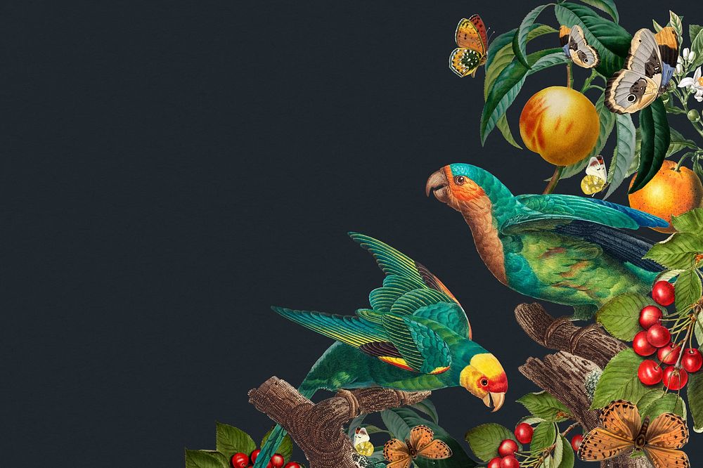 Exotic parrot birds background, botanical border