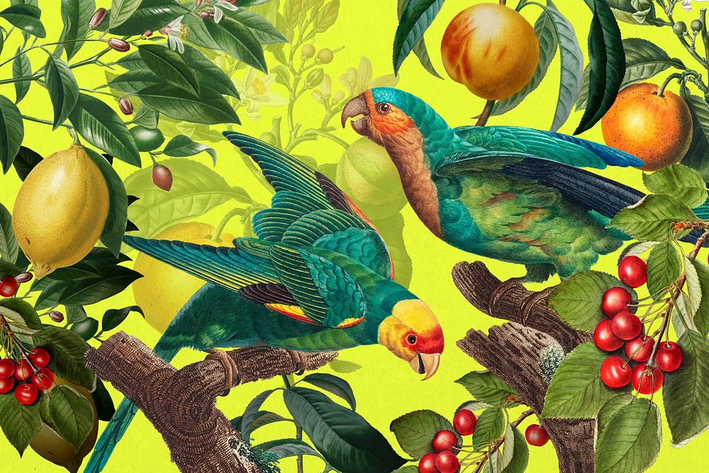 Tropical birds pattern background, jungle illustration