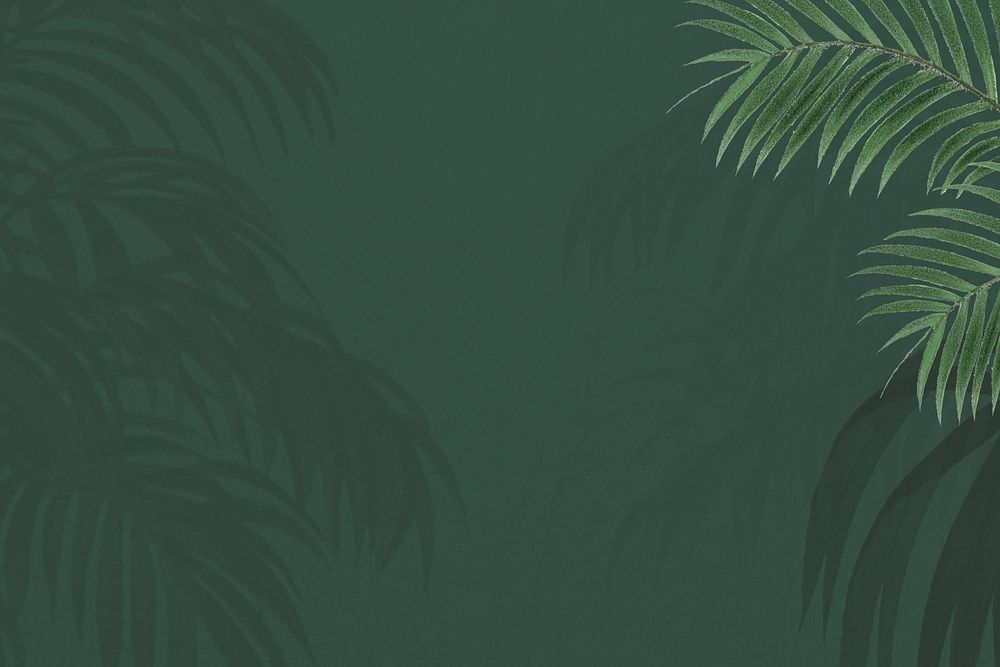 Green palm leaf background, tropical border