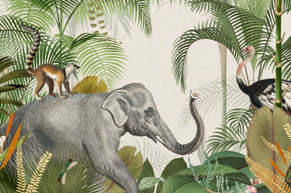 Vintage jungle elephant background, wild animal illustration