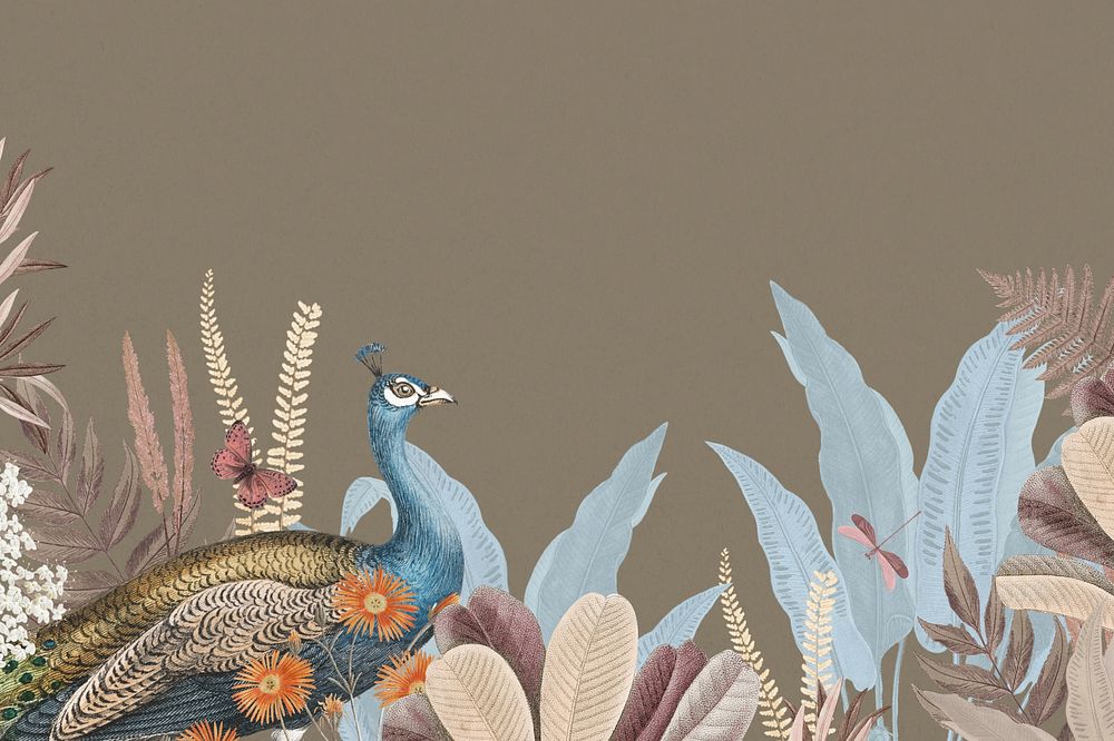 Brown aesthetic peacock background, botanical border