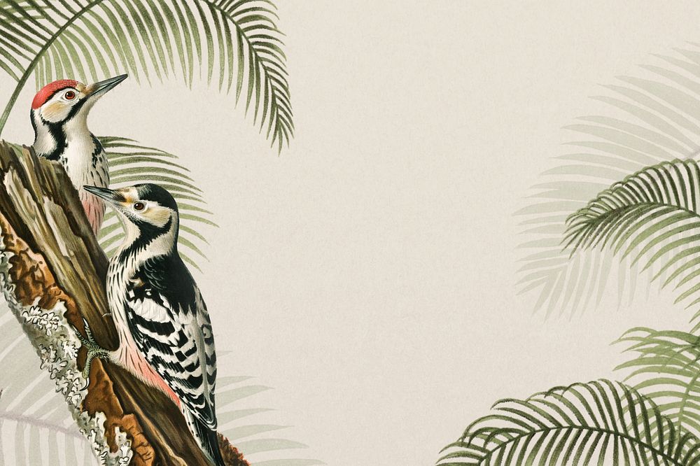 Vintage exotic birds background, beige jungle border