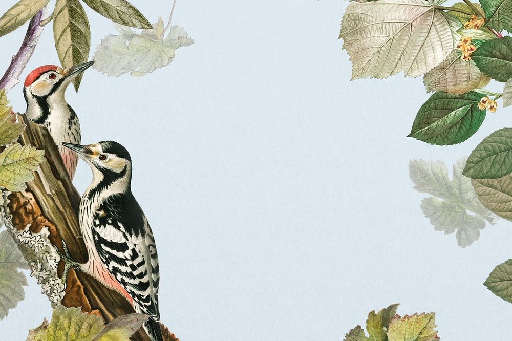 Vintage exotic birds background, wildlife border frame