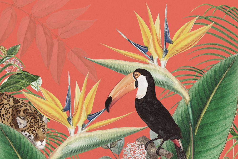 Toco toucan bird background, orange exotic plant border