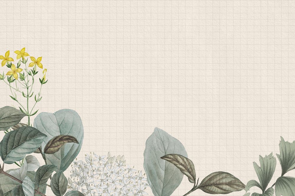 Vintage elderflower background, grid patterned design