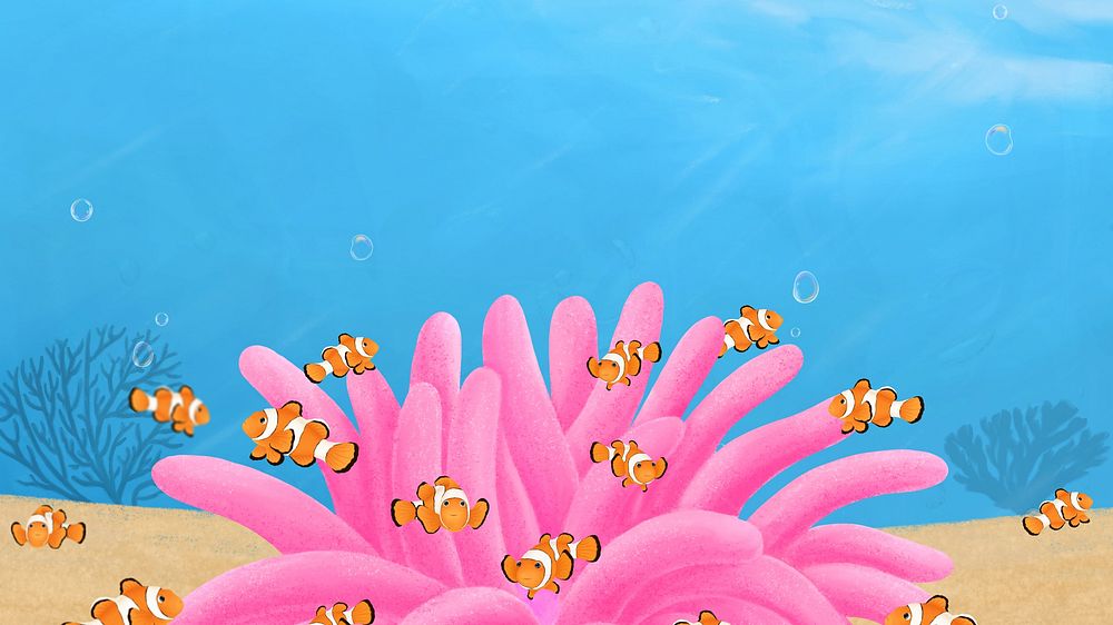 Clownfish anemone desktop wallpaper background