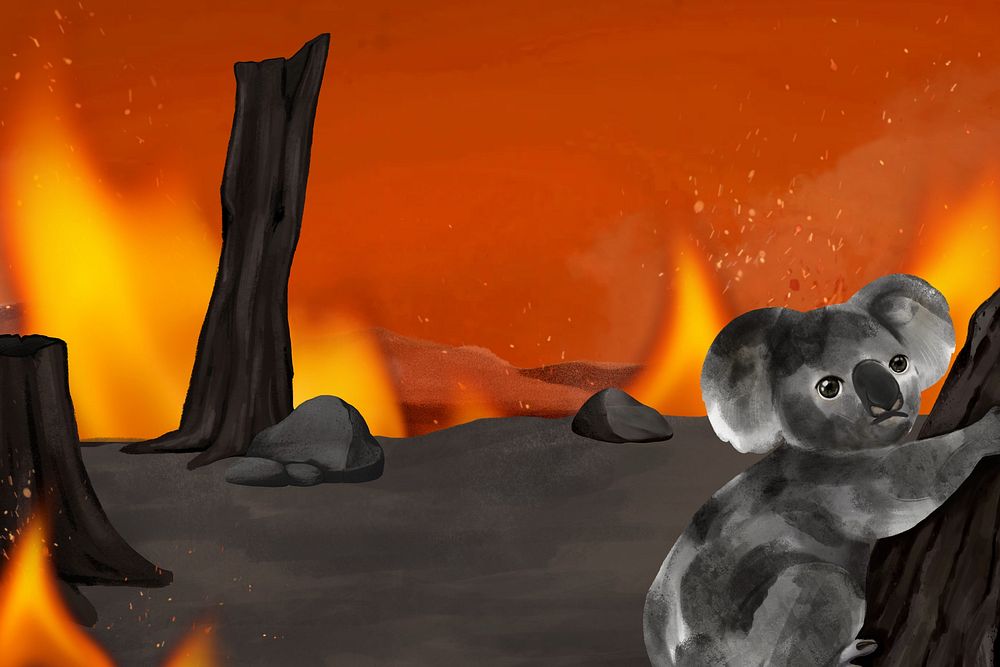 Koala, bushfire background, aesthetic paint illustration