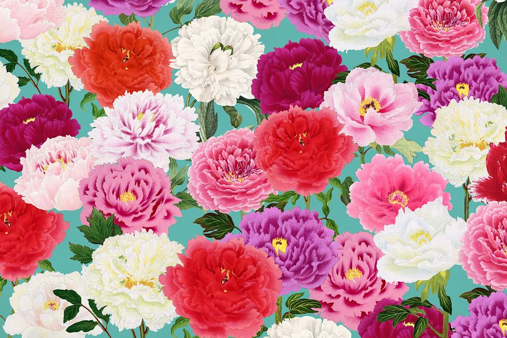 Colorful carnation flowers background, botanical pattern illustration