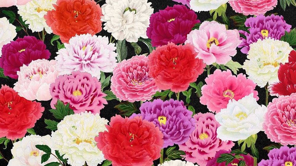 Colorful carnation flowers computer wallpaper, botanical pattern background