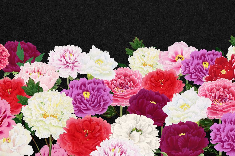 Spring carnation flowers background, botanical aesthetic border 