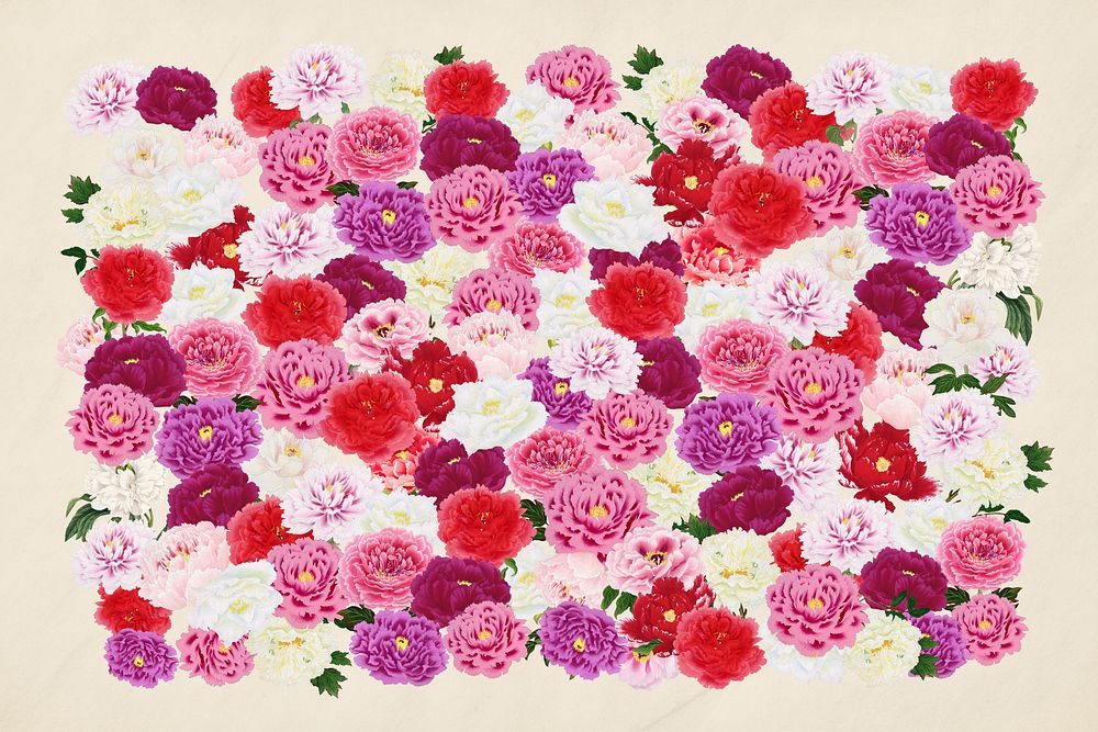 Colorful pink carnation flower, botanical collage art
