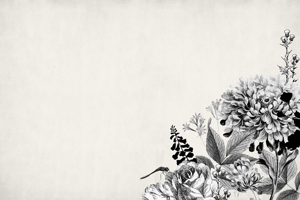 Vintage flower border background, black and white botanical illustration