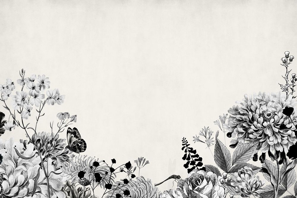 Vintage flower border background, black and white botanical illustration