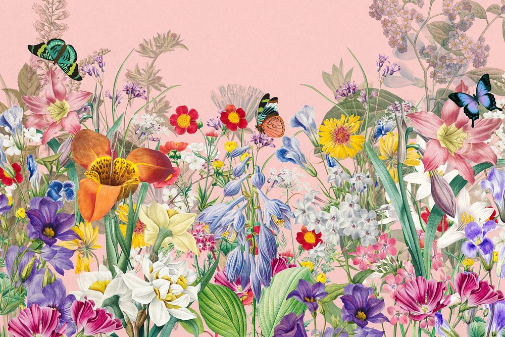 Pink wildflowers aesthetic background, colorful botanical illustration