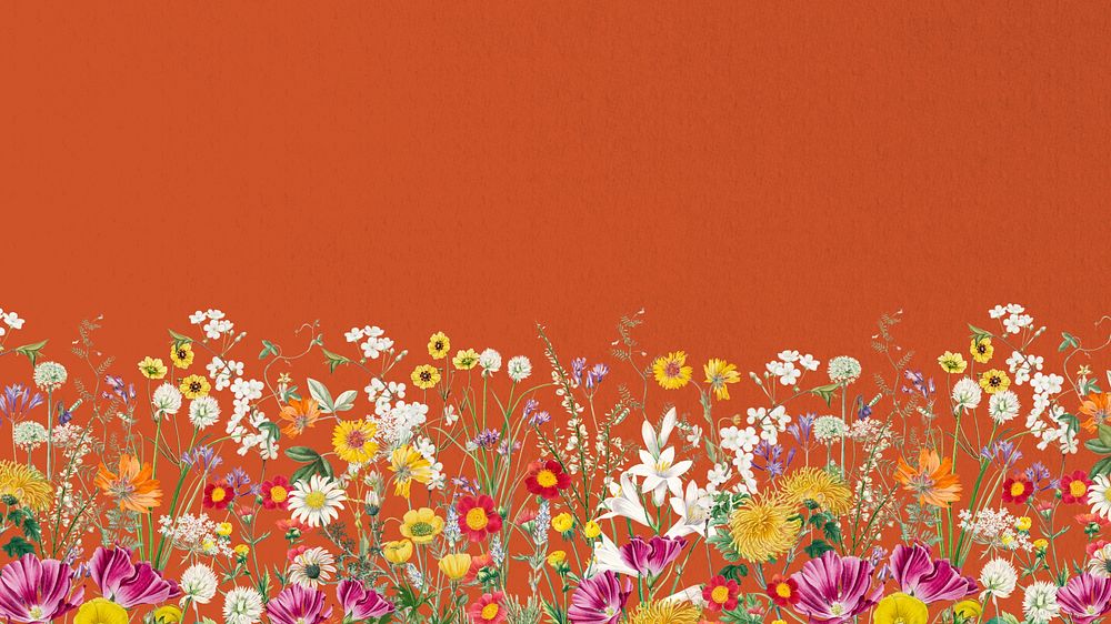 Spring wildflower border computer wallpaper, colorful botanical border background