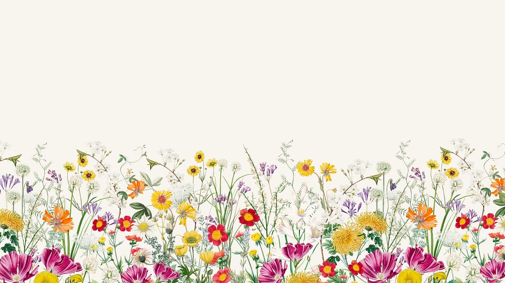 Spring wildflower border computer wallpaper, colorful botanical border background