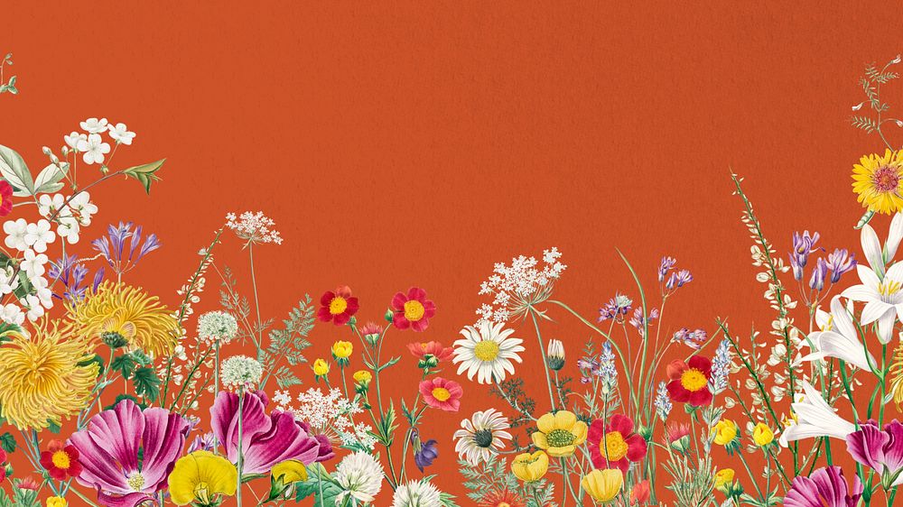 Spring wildflower border computer wallpaper, colorful botanical border background