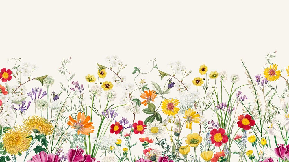 Spring wildflower border computer wallpaper, colorful botanical border background