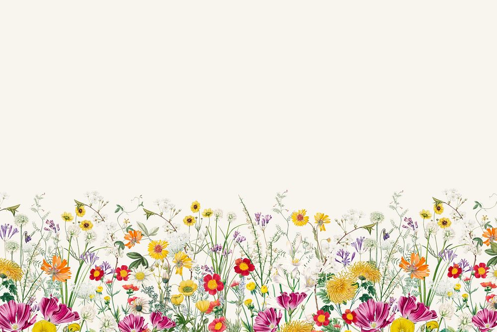 Spring wildflower border background, colorful botanical illustration