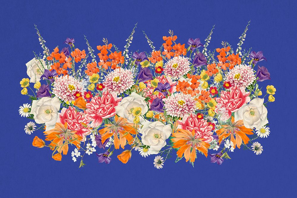 Wedding flower divider, colorful botanical illustration