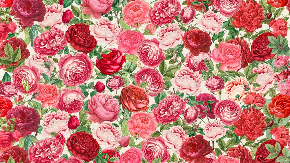 Pink rose pattern HD wallpaper, Valentine's flower background