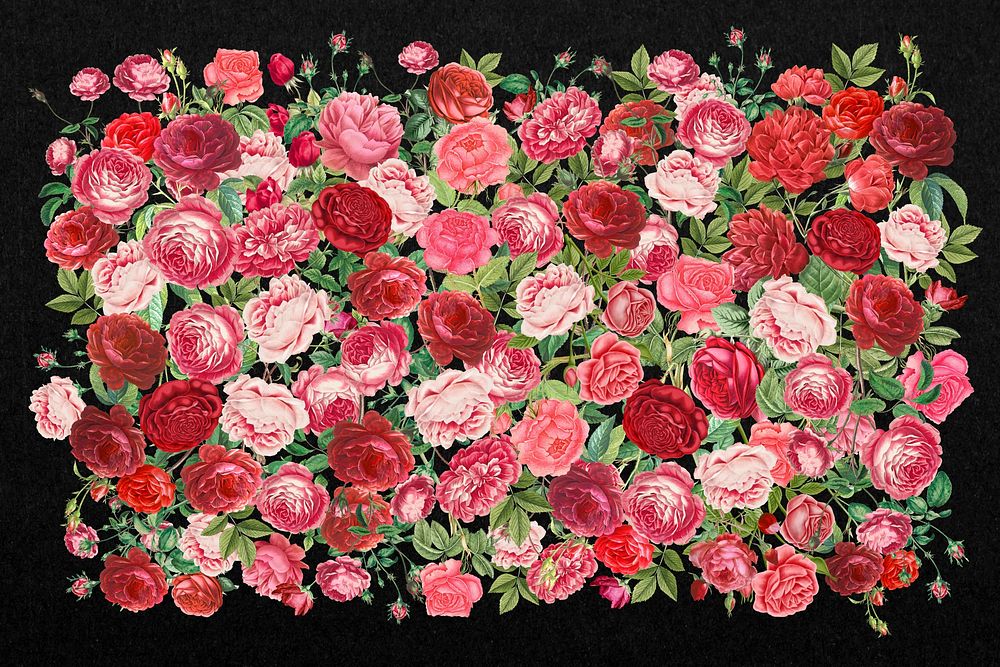 Pink Valentine's roses, flower collage art