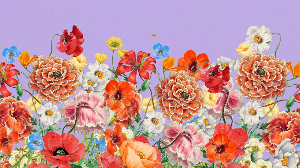 Colorful Summer flowers computer wallpaper, aesthetic botanical background