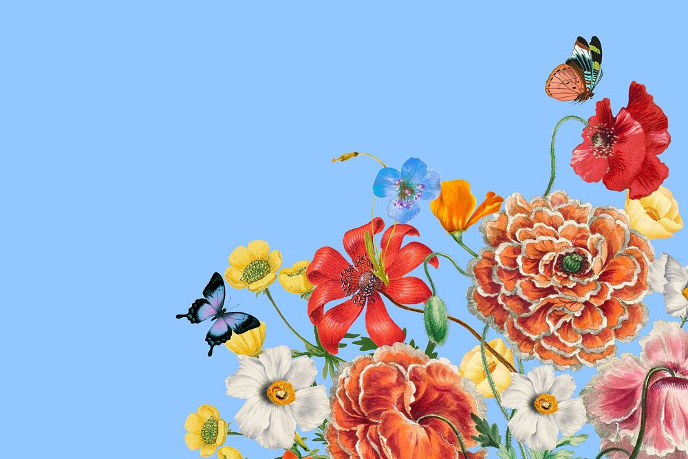 Colorful Summer flowers background, aesthetic botanical border 
