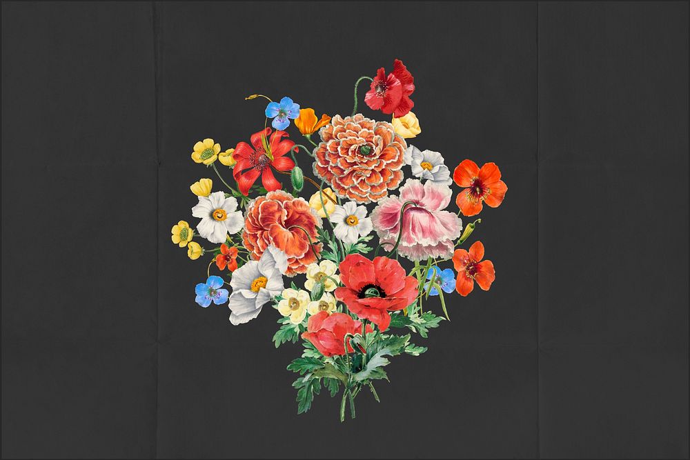 Colorful Summer flower bouquet, botanical illustration