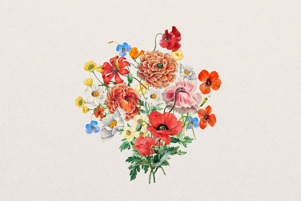 Colorful Summer flower bouquet, botanical illustration