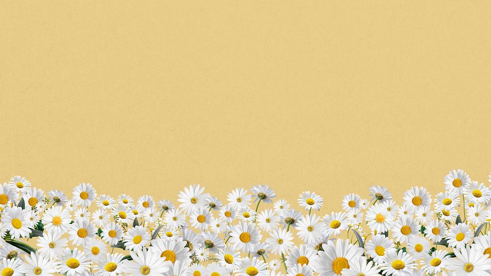 Daisy flower border desktop wallpaper, pastel yellow background