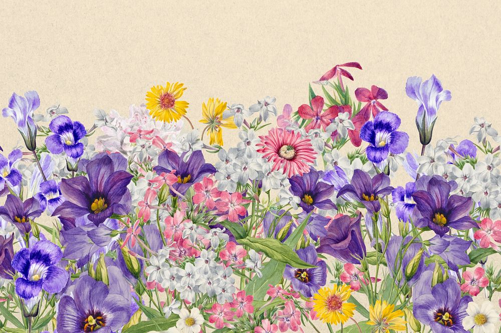 Colorful purple wildflower background, botanical border 