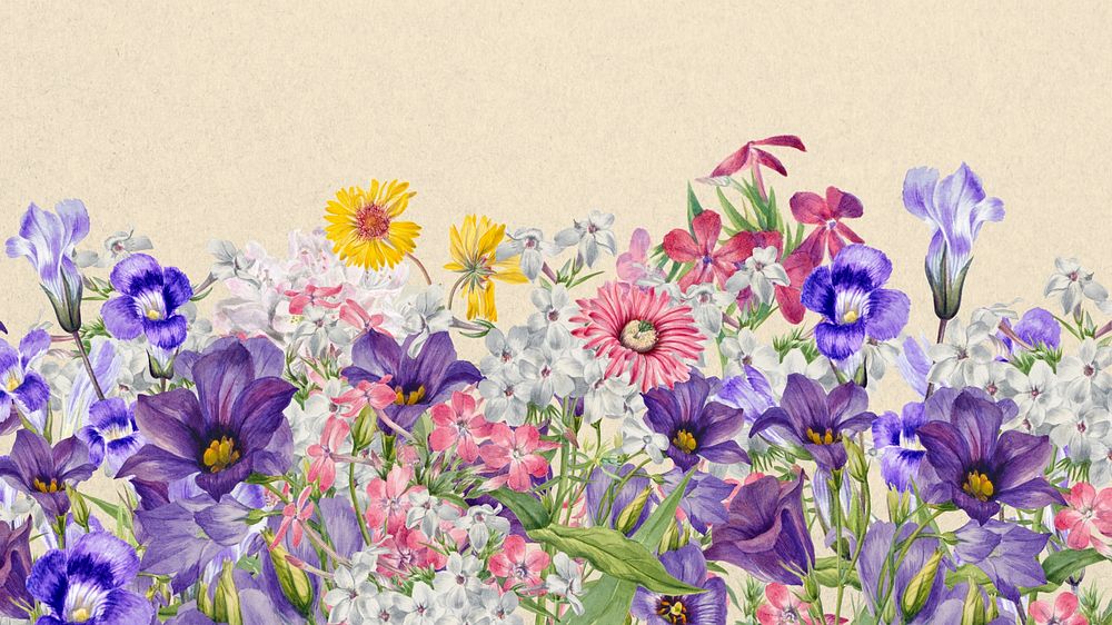 Colorful purple wildflower computer wallpaper, botanical border background