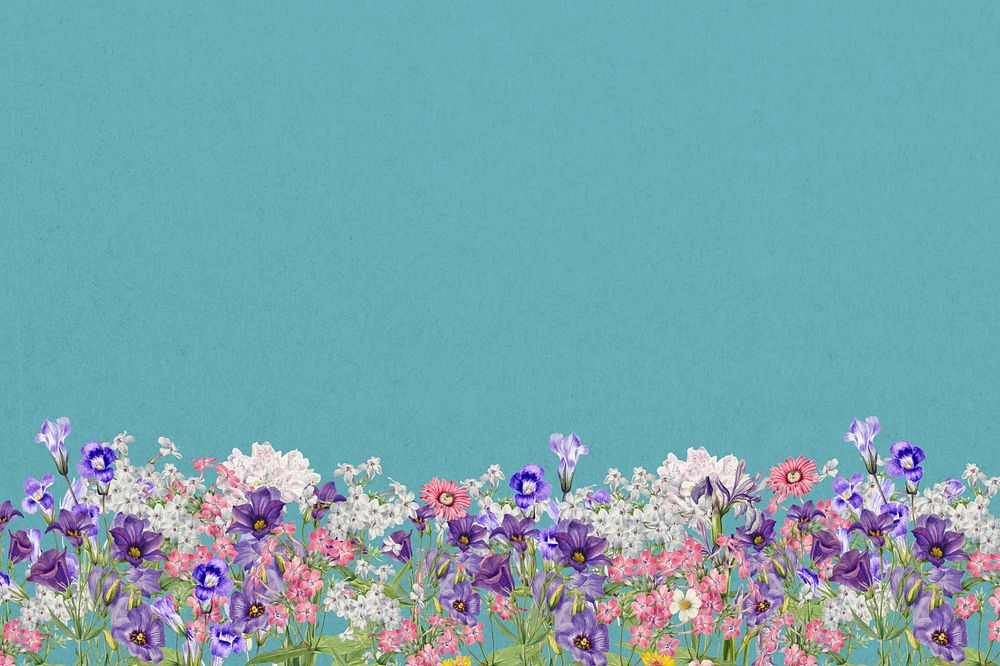 Aesthetic purple wildflower background, botanical border