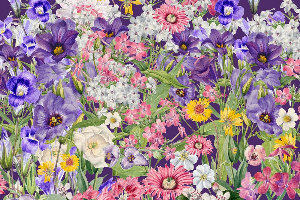 Purple wildflower pattern background, aesthetic botanical illustration