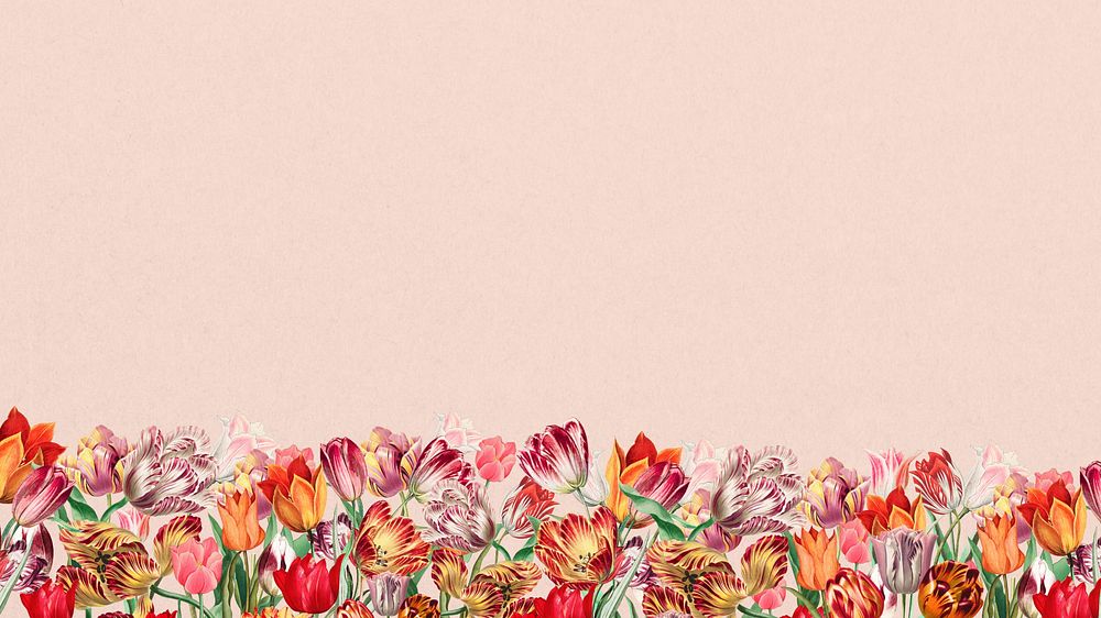 Pink exotic flowers computer wallpaper, colorful botanical border background