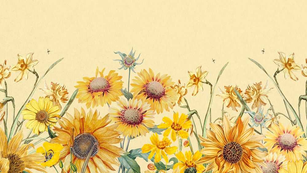 Aesthetic yellow sunflowers HD wallpaper, beautiful botanical illustration