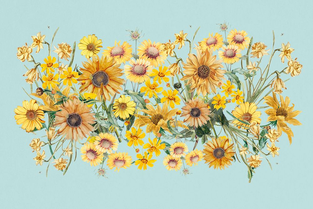 Colorful sunflower divider, Spring floral illustration