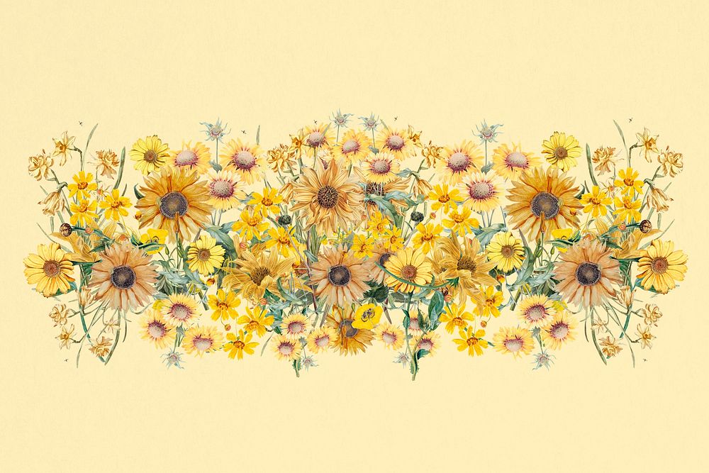 Colorful sunflower divider, Spring floral illustration