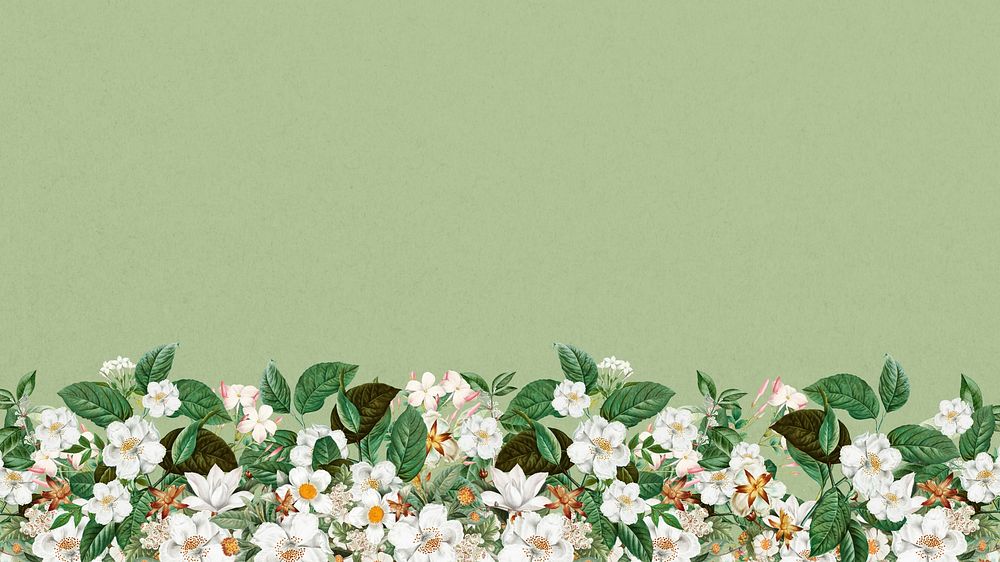 Jasmine flower border desktop wallpaper, green textured background