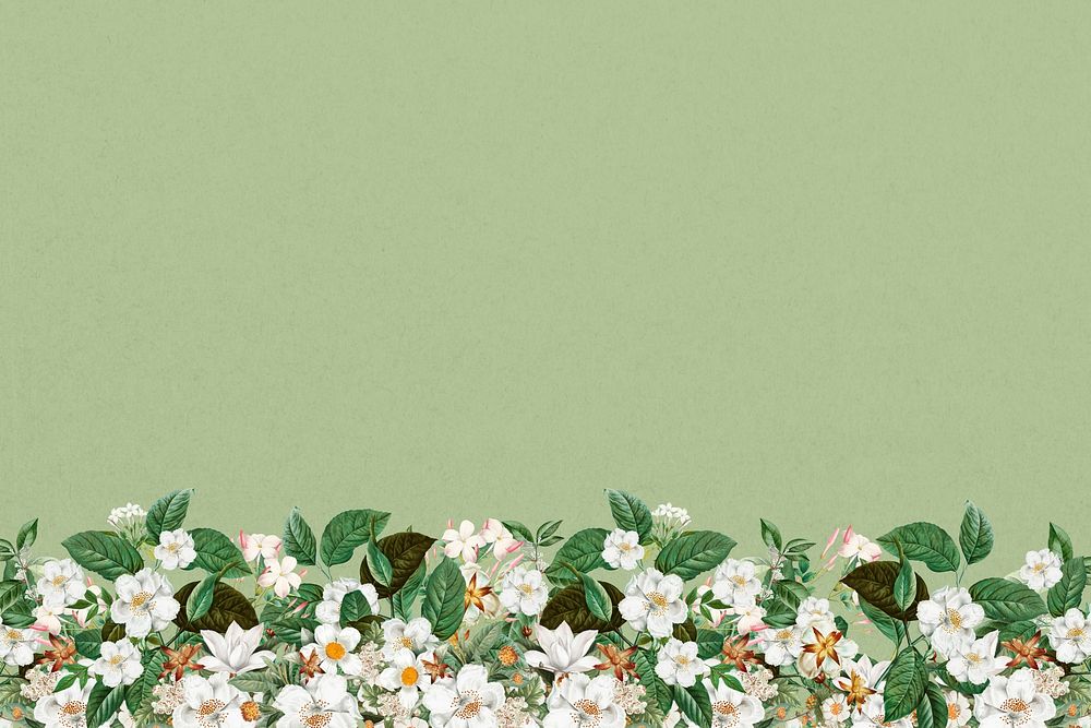 Jasmine flower border background, green textured design