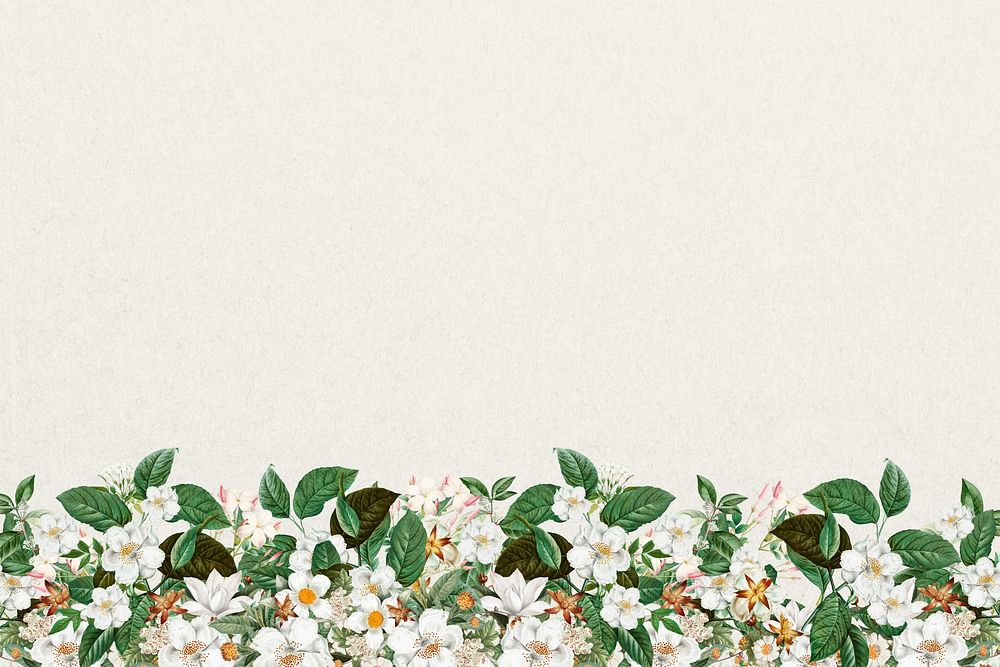 Jasmine flower border background, beige textured design