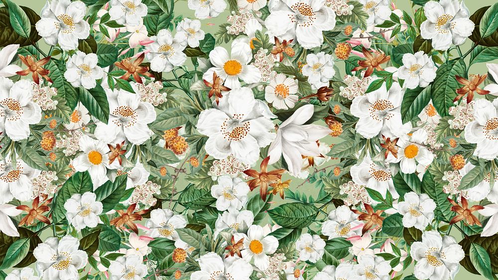 White floral pattern phone wallpaper, Spring flower background
