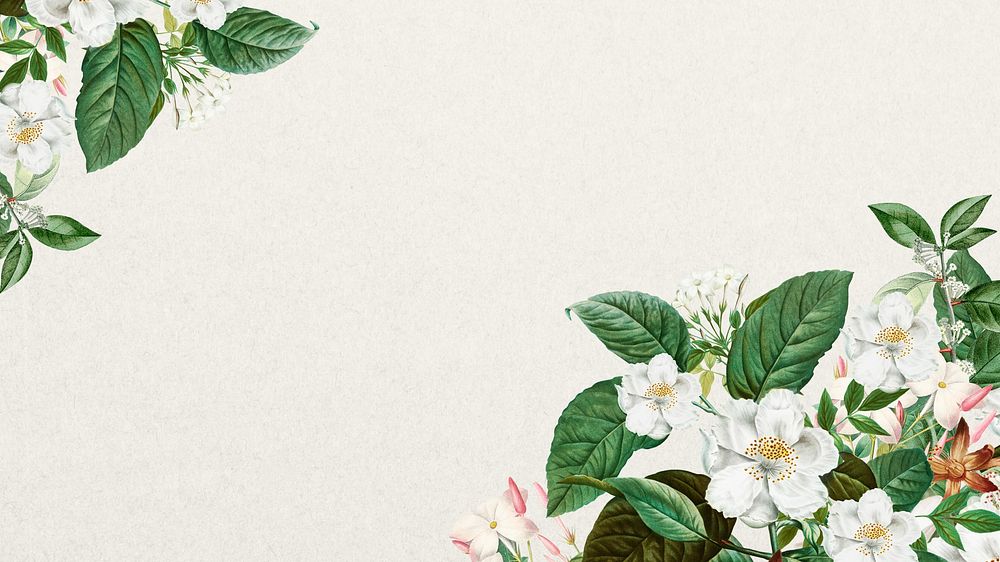 Jasmine flower border desktop wallpaper, off-white textured background