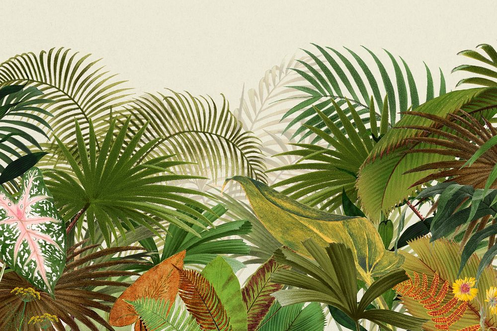 Tropical palm trees background, botanical illustration